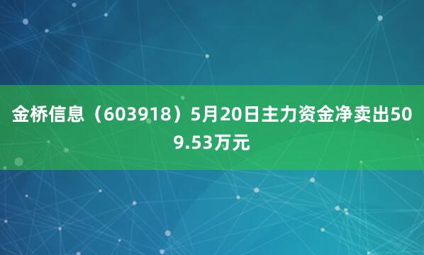 金桥信息(603918)5月20日主力资金净卖出509.53万元