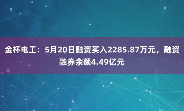金杯电工:5月20日融资买入2285.87万元,融资融券余额4.49亿元
