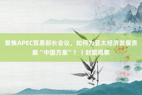 聚焦APEC贸易部长会议，如何为亚太经济发展贡献“中国方案”？丨封面观察