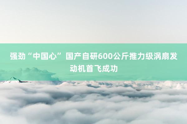 强劲“中国心” 国产自研600公斤推力级涡扇发动机首飞成功
