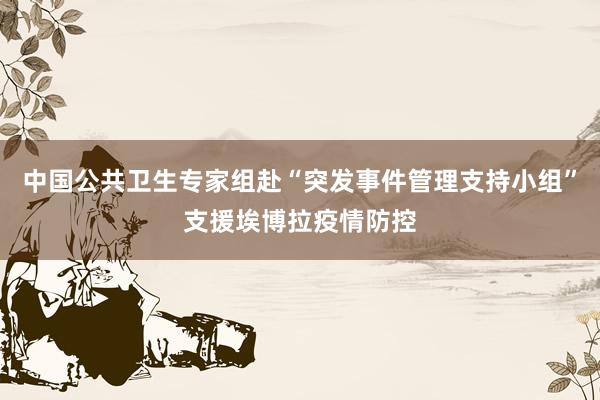 中国公共卫生专家组赴“突发事件管理支持小组”支援埃博拉疫情防控