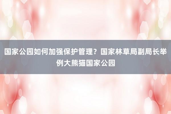 国家公园如何加强保护管理？国家林草局副局长举例大熊猫国家公园