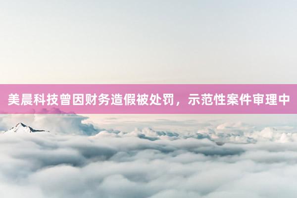 美晨科技曾因财务造假被处罚，示范性案件审理中