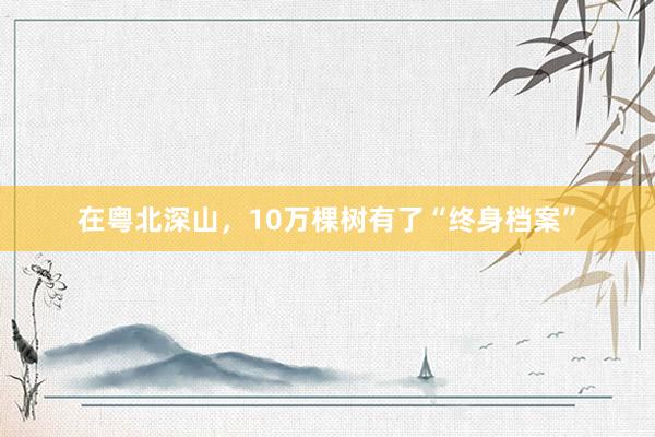 在粤北深山，10万棵树有了“终身档案”