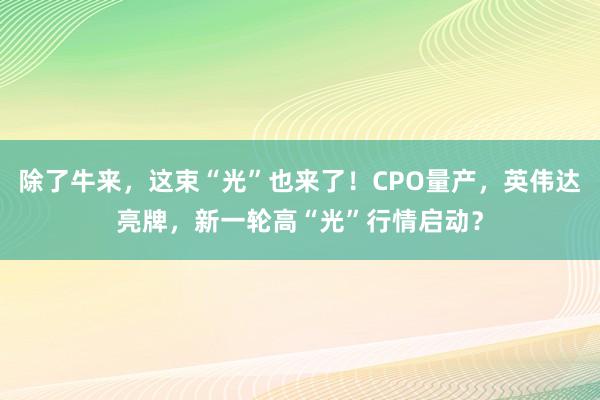 除了牛来，这束“光”也来了！CPO量产，英伟达亮牌，新一轮高“光”行情启动？
