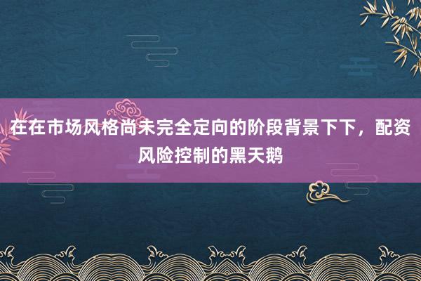 在在市场风格尚未完全定向的阶段背景下下，配资风险控制的黑天鹅