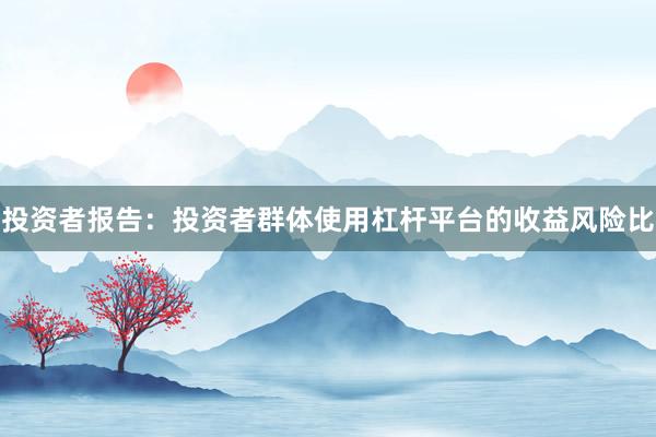 投资者报告：投资者群体使用杠杆平台的收益风险比