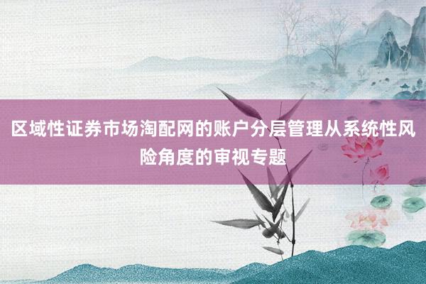 区域性证券市场淘配网的账户分层管理从系统性风险角度的审视专题