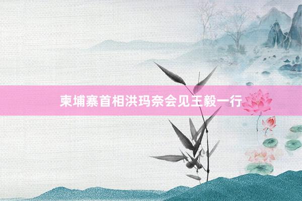 柬埔寨首相洪玛奈会见王毅一行