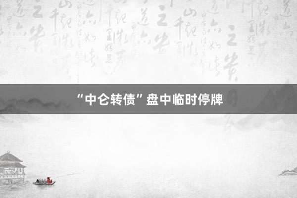 “中仑转债”盘中临时停牌