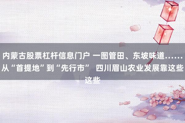 内蒙古股票杠杆信息门户 一图管田、东坡味道……从“首提地”到“先行市”  四川眉山农业发展靠这些