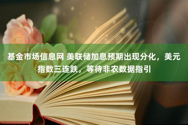 基金市场信息网 美联储加息预期出现分化，美元指数三连跌，等待非农数据指引