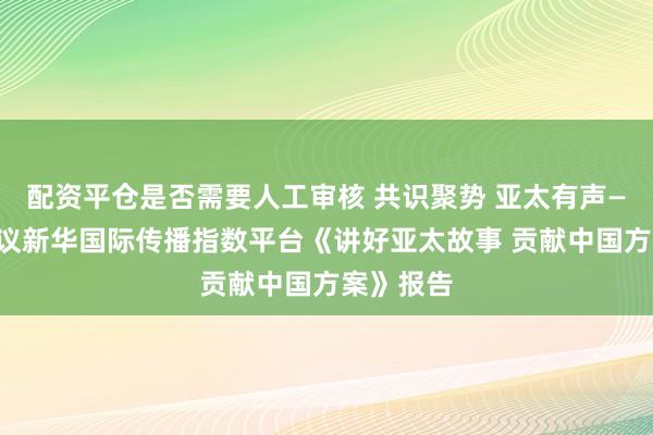 配资平仓是否需要人工审核 共识聚势 亚太有声——专家热议新华国际传播指数平台《讲好亚太故事 贡献中国方案》报告