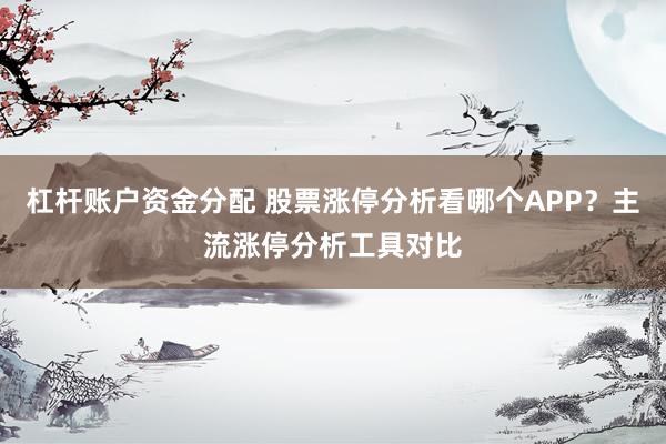 杠杆账户资金分配 股票涨停分析看哪个APP？主流涨停分析工具对比