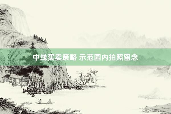 中线买卖策略 示范园内拍照留念