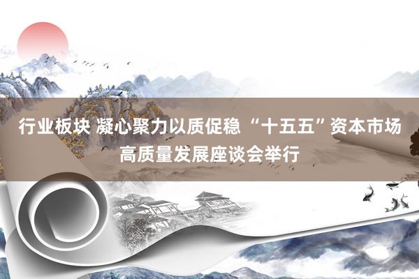 行业板块 凝心聚力以质促稳 “十五五”资本市场高质量发展座谈会举行