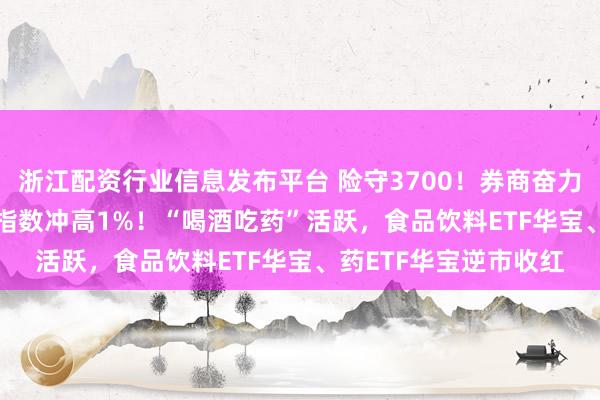 浙江配资行业信息发布平台 险守3700！券商奋力护盘，512000标的指数冲高1%！“喝酒吃药”活跃，食品饮料ETF华宝、药ETF华宝逆市收红