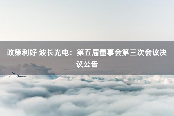 政策利好 波长光电：第五届董事会第三次会议决议公告