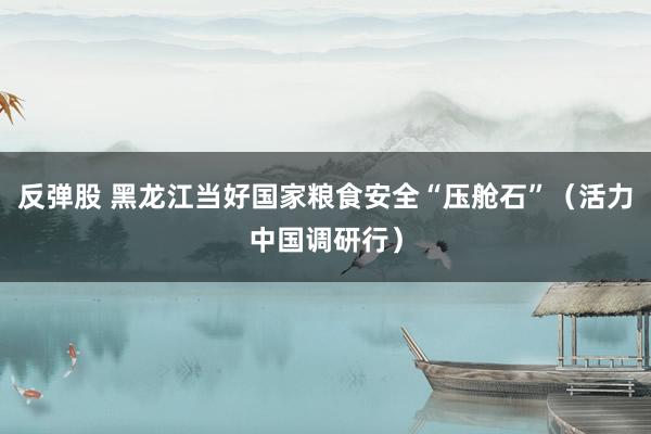 反弹股 黑龙江当好国家粮食安全“压舱石”（活力中国调研行）