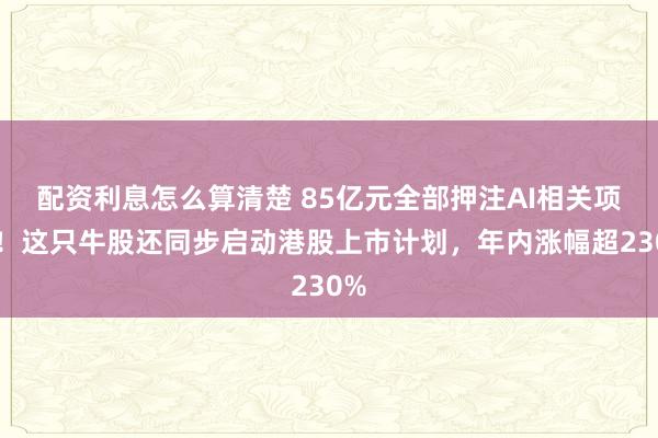 配资利息怎么算清楚 85亿元全部押注AI相关项目!这只牛股还同步启动港股上市计划,年内涨幅超230%